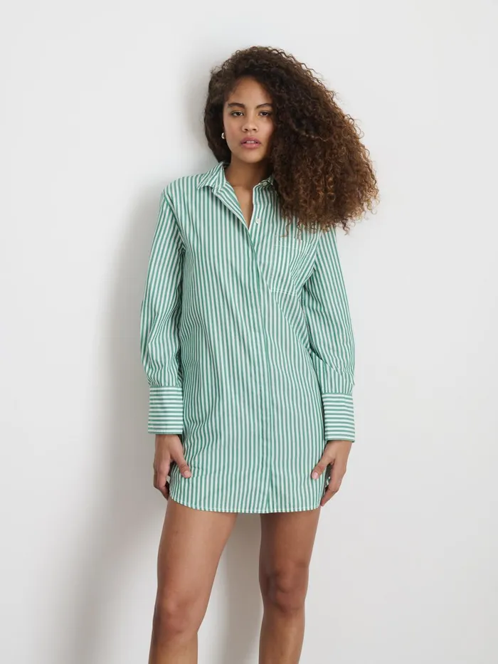 Alex Mill Dresses Skirts Women Belle Shirt Dress In Striped Cotton Poplin Greenwhite