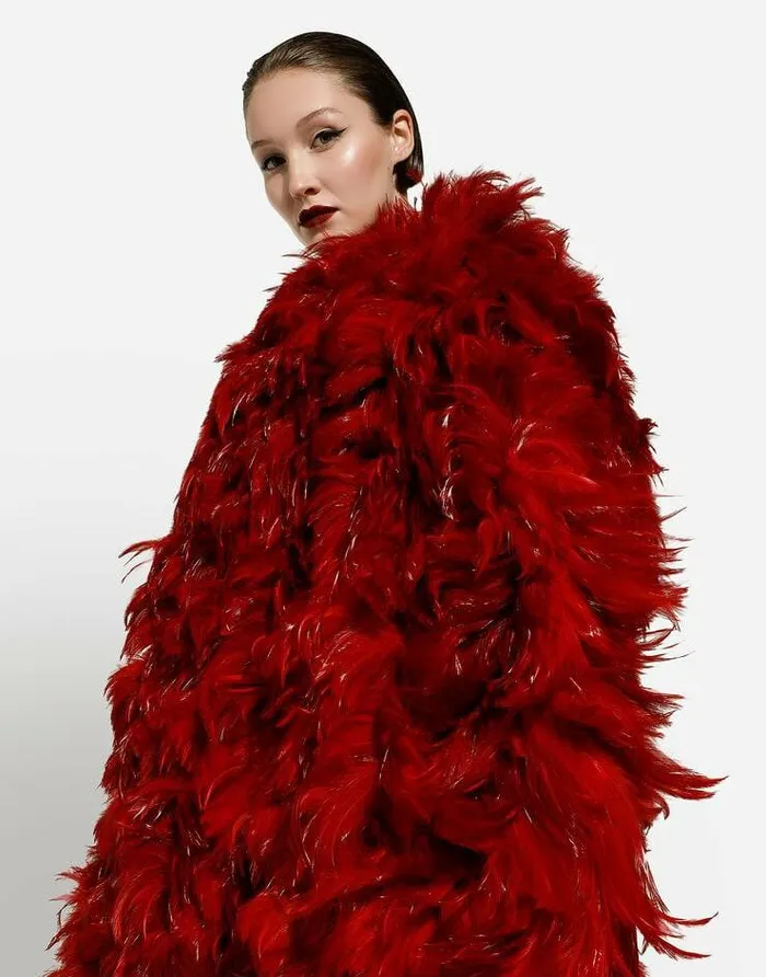 Dolce and Gabbana Coats And Jackets Women Organza Coat With Rooster Feather Embellishment Multicolor Dolce and Gabbana Coats And Jackets Women Organza Coat With Rooster Feather Embellishment Multicolor