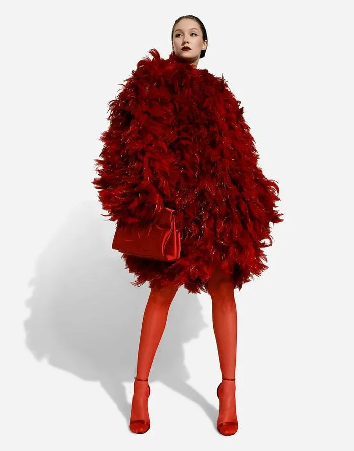 Dolce and Gabbana Coats And Jackets Women Organza Coat With Rooster Feather Embellishment Multicolor Dolce and Gabbana Coats And Jackets Women Organza Coat With Rooster Feather Embellishment Multicolor