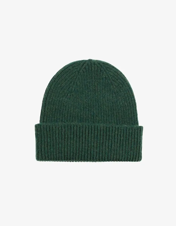 Men Beanies Colorful Standard Merino Wool Beanie Emerald Green