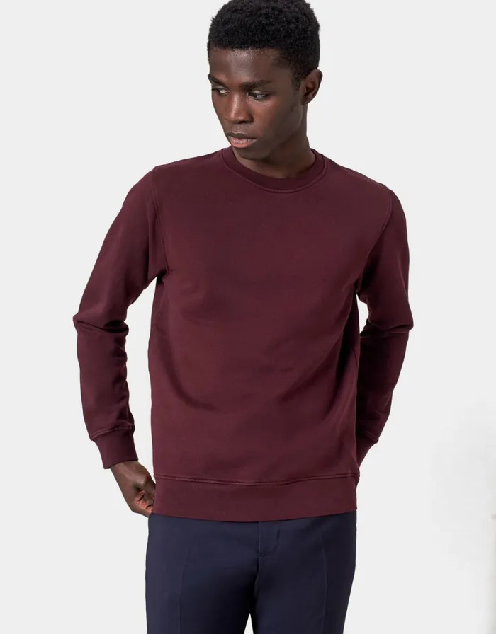 Men Crewneck Sweatshirts Colorful Standard Classic Organic Crew Scarlet Red