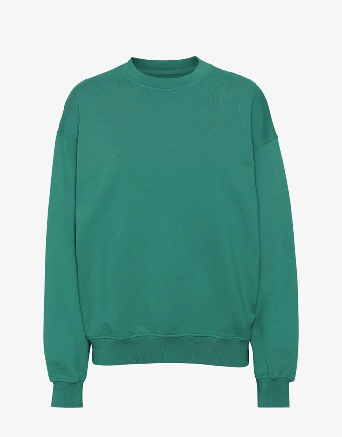 Men Crewneck Sweatshirts Colorful Standard Organic Oversized Crew Pine Green