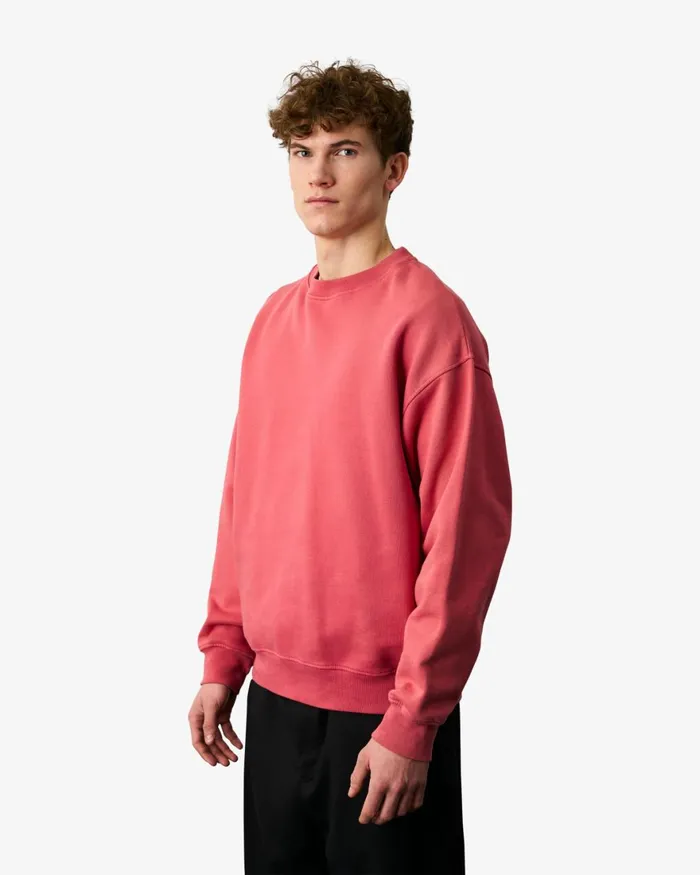 Men Crewneck Sweatshirts Colorful Standard Organic Oversized Crew Pine Green