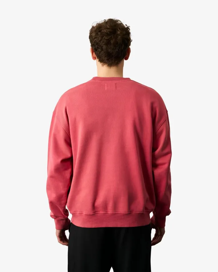 Men Crewneck Sweatshirts Colorful Standard Organic Oversized Crew Pine Green