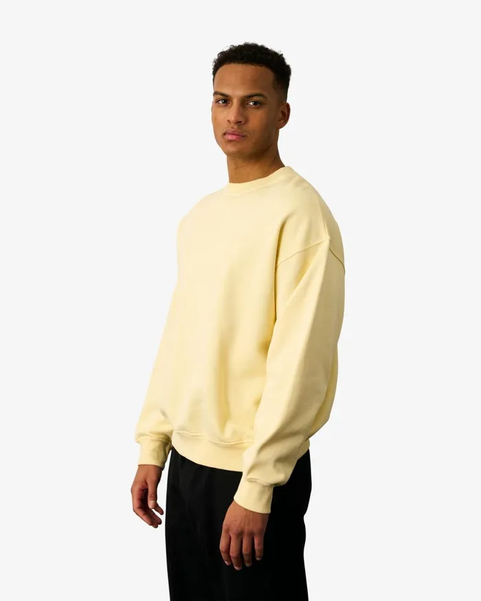 Men Crewneck Sweatshirts Colorful Standard Organic Oversized Crew Polar Blue
