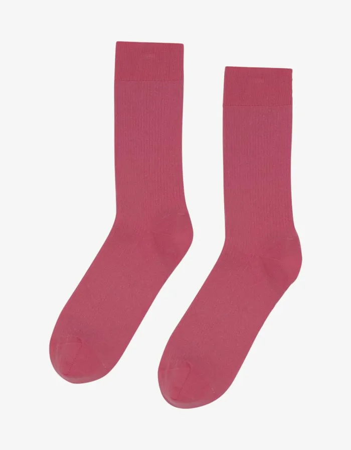 Men Socks and Colorful Standard Classic Organic Sock Raspberry Pink