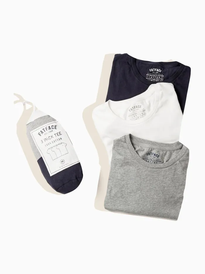 Men TShirts Fat Face Navy BlueWhiteGrey TShirts 3 Pack