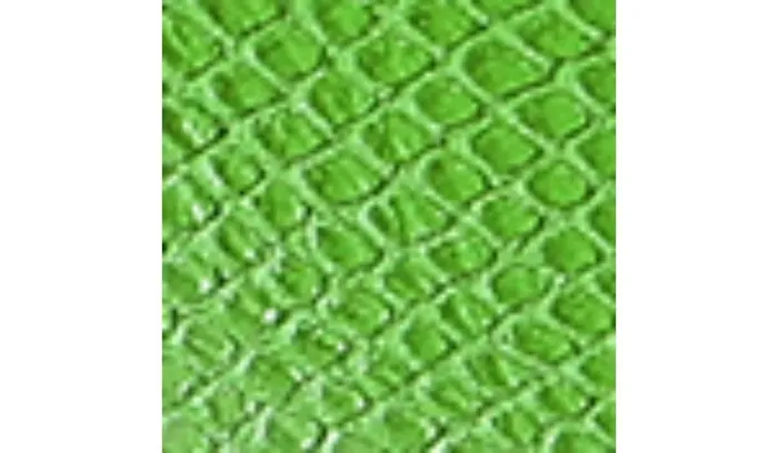 Sandals Women Franco Sarto Franco Barb Platform Slide Sandal Green Apple Faux Leather