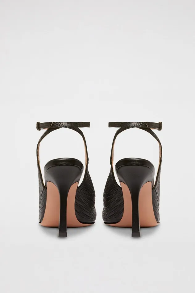 Shoes Women Scanlan Theodore PUMP 95 Black