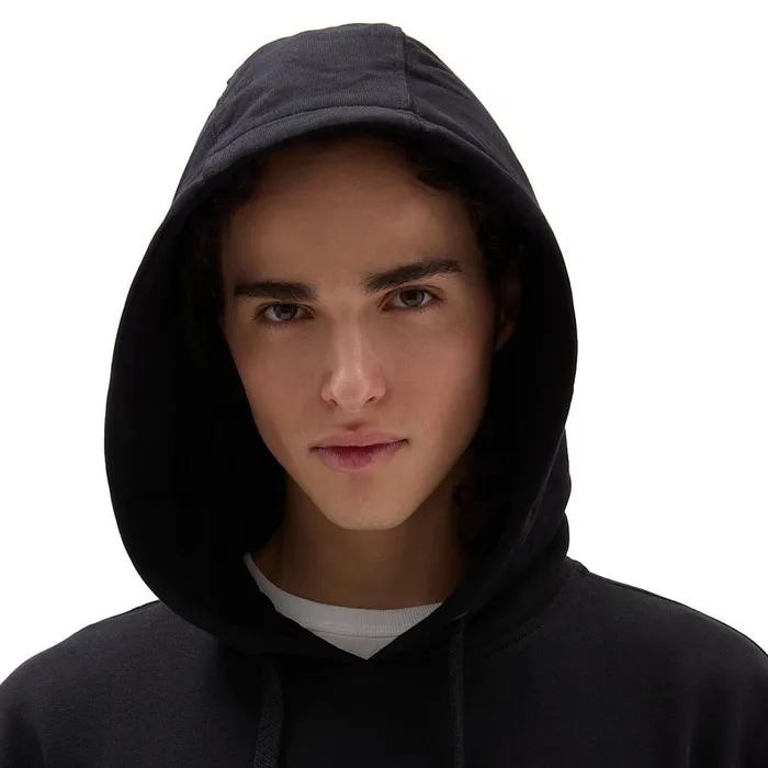 Vans Hoodies and Sweatshirts Men Core Basic Pullover Hoodie Black