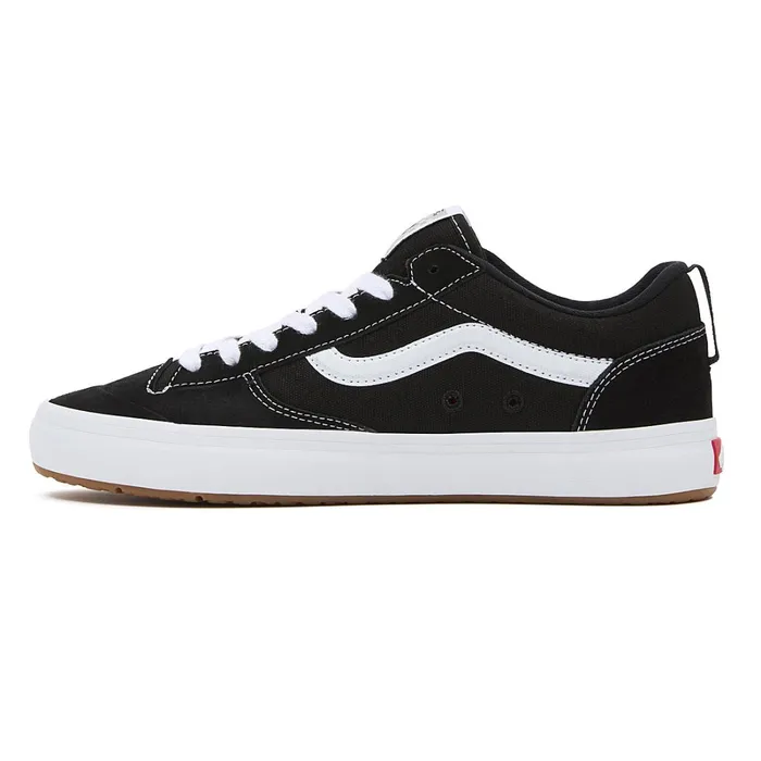 Vans Skate Shoes Men Lizzie Low Shoes Black