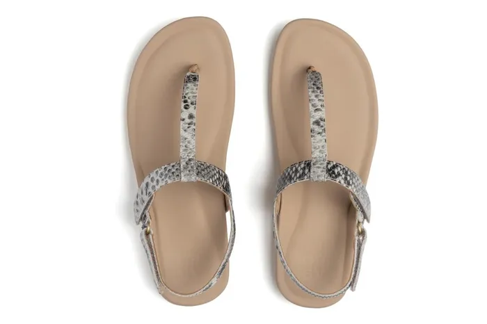 Women ABEO Footwear Sandals Oasis T Strap Snake Women ABEO Footwear Sandals Oasis T Strap Snake