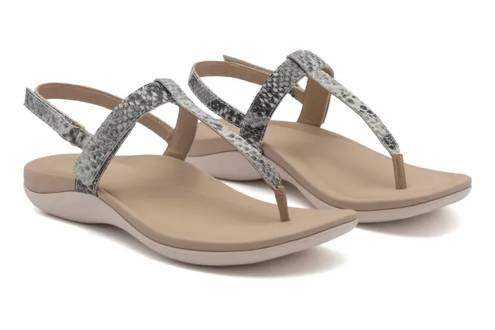 Women ABEO Footwear Sandals Oasis T Strap Snake Women ABEO Footwear Sandals Oasis T Strap Snake
