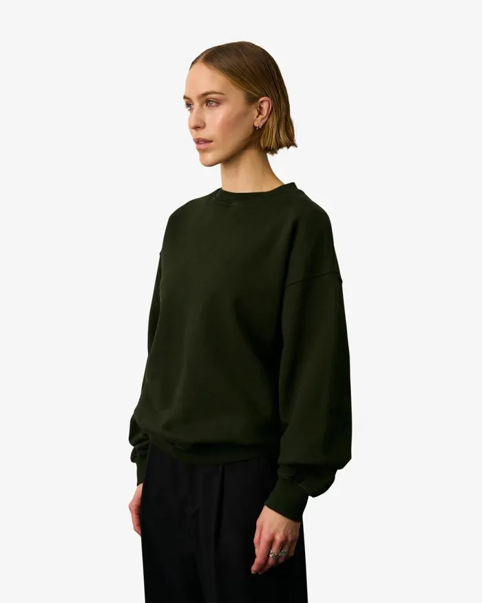 Women Crewneck Sweatshirts Colorful Standard Organic Oversized Crew Steel Blue