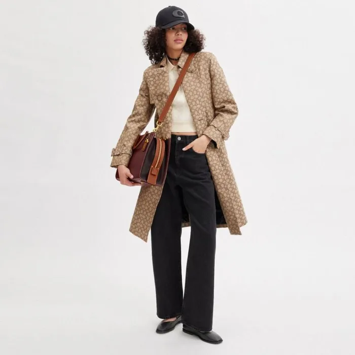 Women Satchels and Top Handles Coach Rogue In Colorblock Brasswine Multi