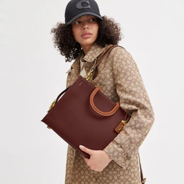 Women Satchels and Top Handles Coach Rogue In Colorblock Brasswine Multi